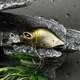 Crankbait hundible mini para trucha y perca – señuelo duro - imagen 5