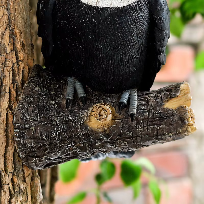 Tucán de resina para jardín – Figura decorativa colgante de pared