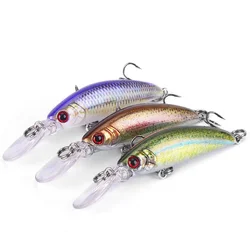 WEIHE Señuelo Duro Pececillo Hundimiento Multicolor
