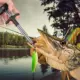 Pinza de labio y báscula digital electrónica de pesca de mano - imagen 4