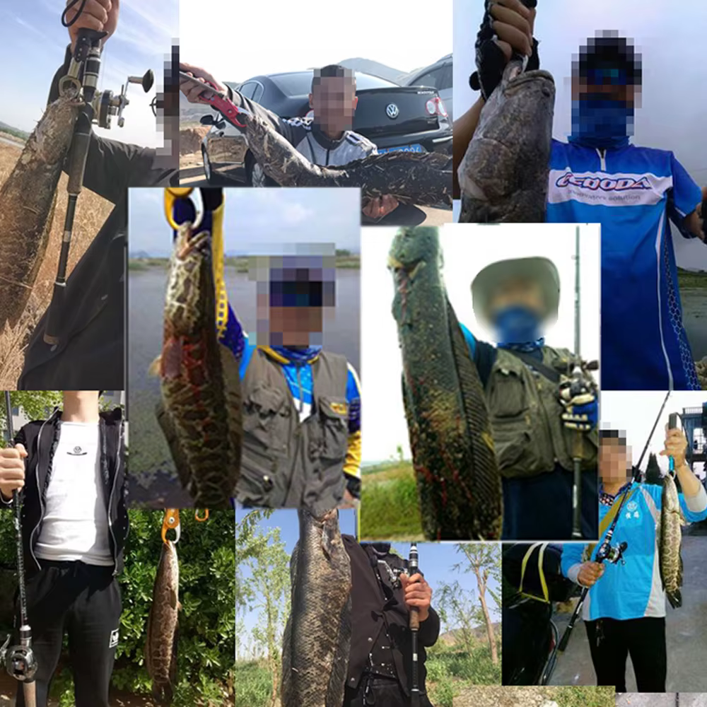 Caña Jerkbait XH de Carbono 2,28 m, 40 lb - imagen 5