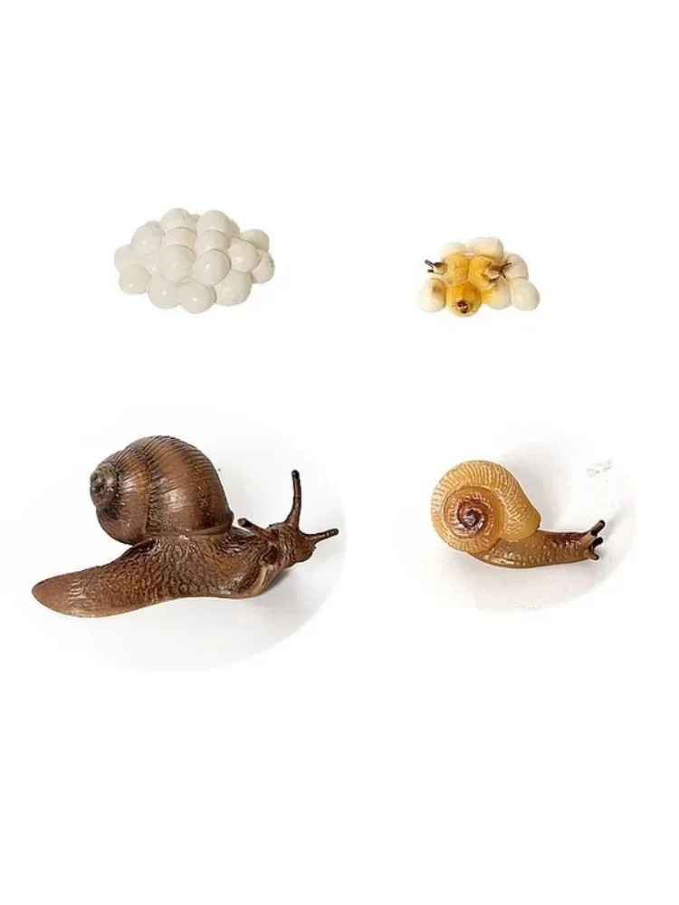 Figura caracol realista resina kawaii para decoración de jardín - imagen 5