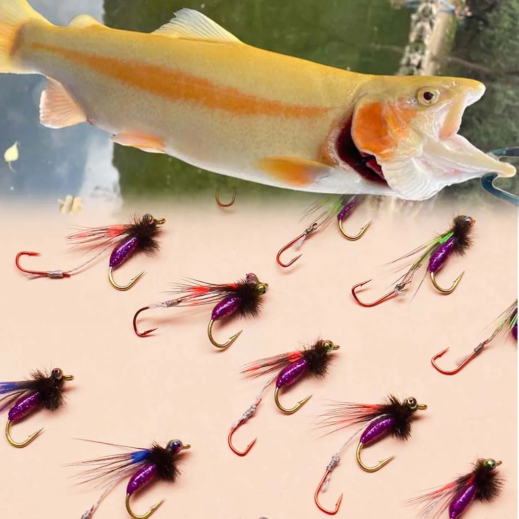 Caja de 5 unidades