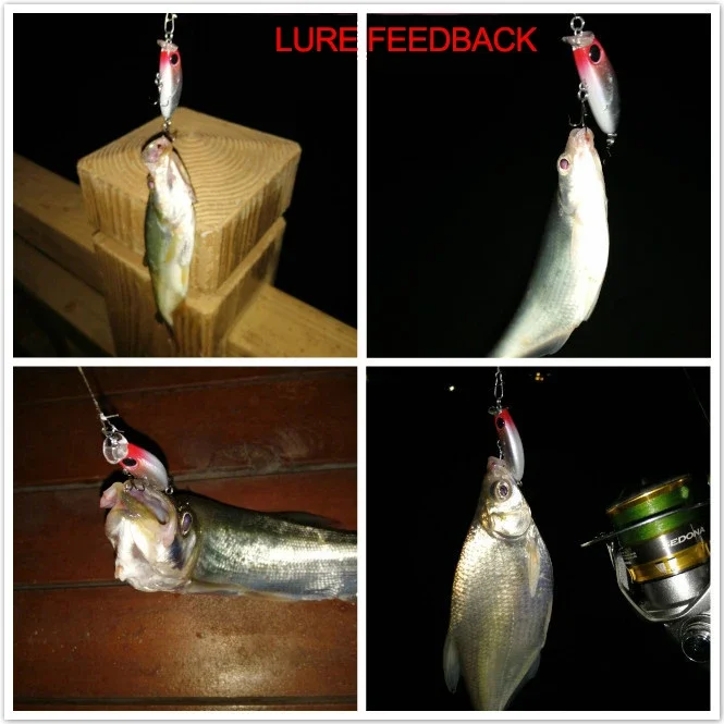 Variaciones de color para pesca