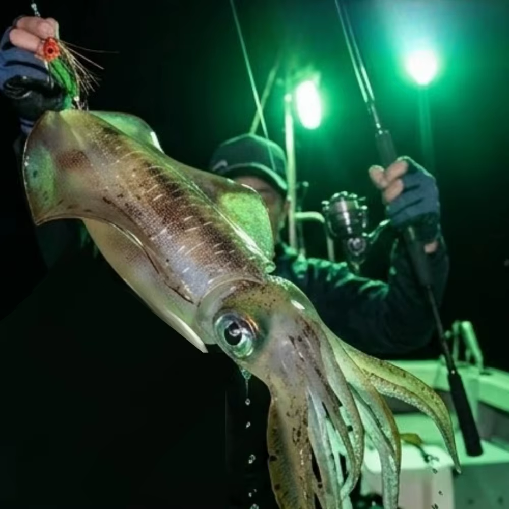 Egi UV de Madera 10 cm – Señuelo para Pesca del Calamar - imagen 2