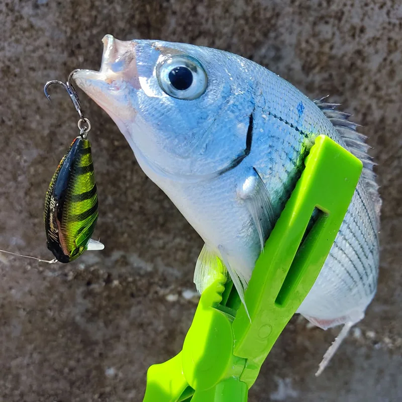 Tsurinoya Crankbait flotante Magician para lubina de poca profundidad - imagen 5