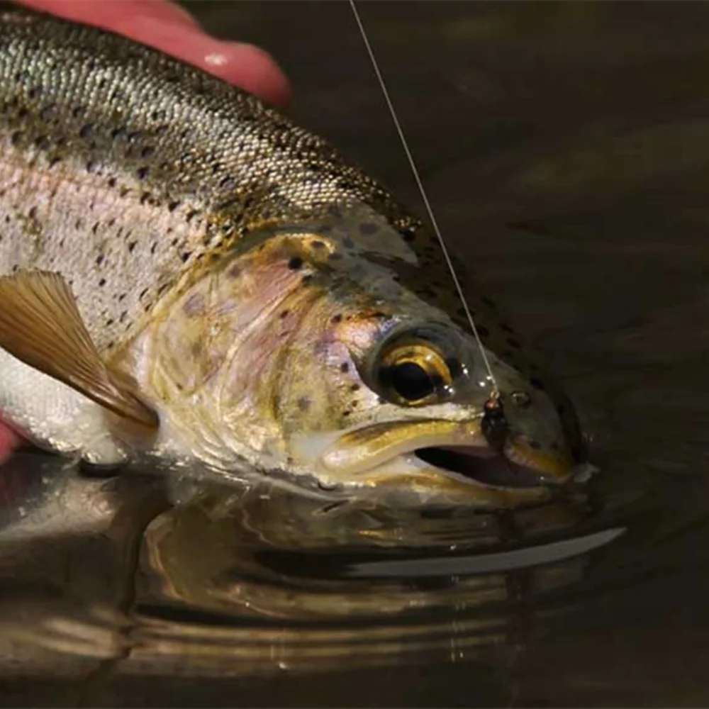 Cabezas de jig facetadas MUUNN para pesca en hielo con mosca - imagen 4