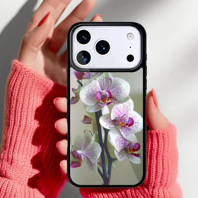 Funda puesta en iPhone