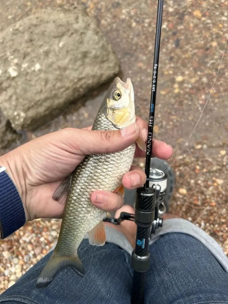 Línea trenzada en carrete