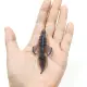 DUODUOYU Señuelos flotantes swimbait TPE para pesca de plástico blando - imagen 2