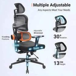 NEWTRAL NT001 – Silla Ergonómica con soporte lumbar y reposacabezas