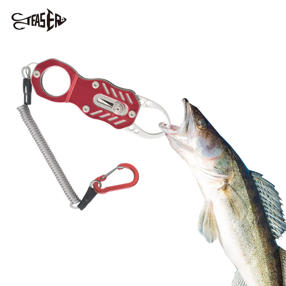 Teasner WBL-804 Detecor Portátil de Peces – Acero Inoxidable con Cordón de Seguridad - imagen 3