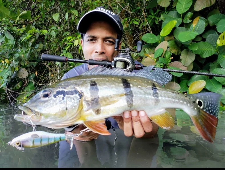 Señuelo Kingdom Topwater con hélice flotante para pesca de lucio