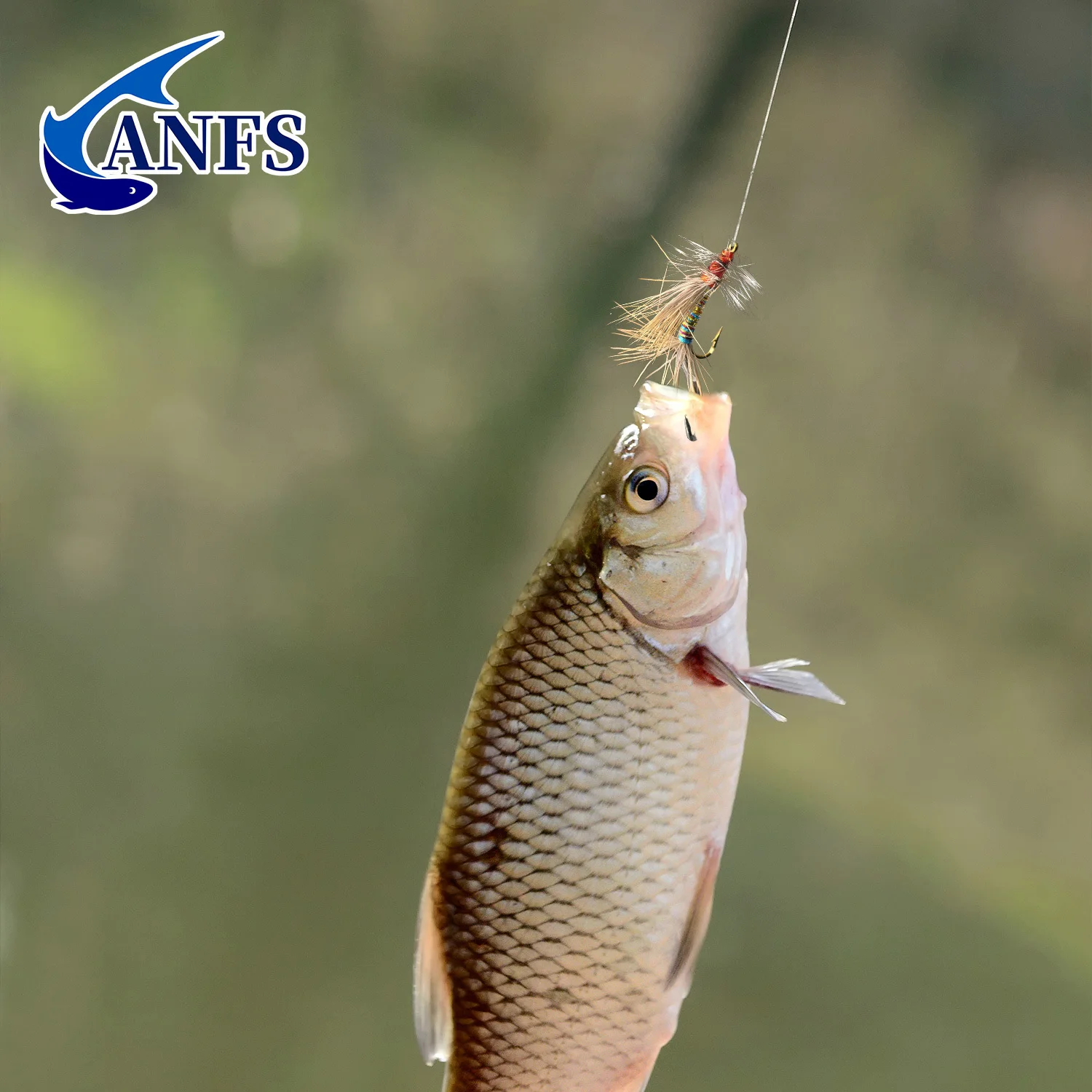 Mosca de pesca ANFS en caja de presentación