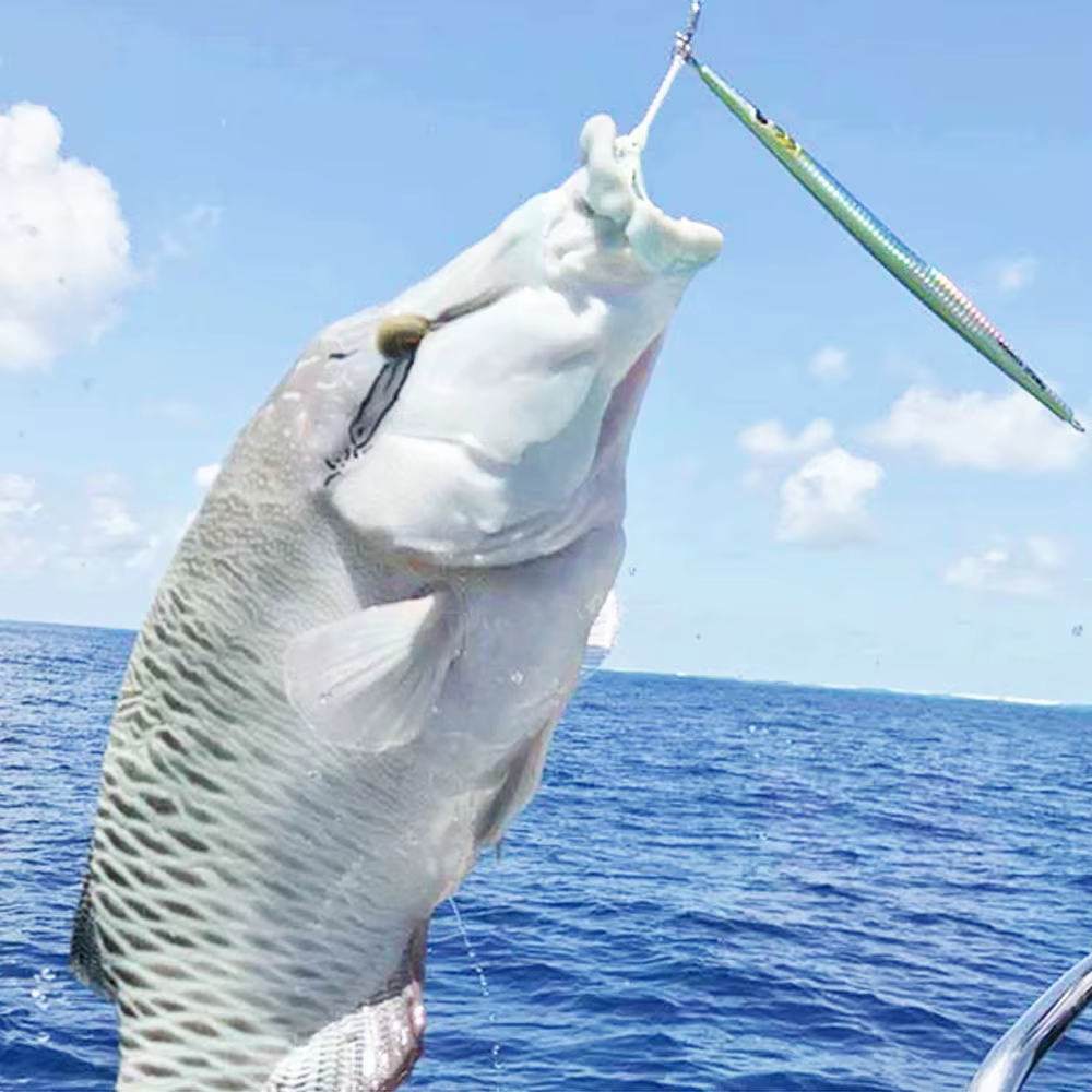 AS Fast Jig Señuelo de Hundimiento Vertical para Jigging en Barco - imagen 4