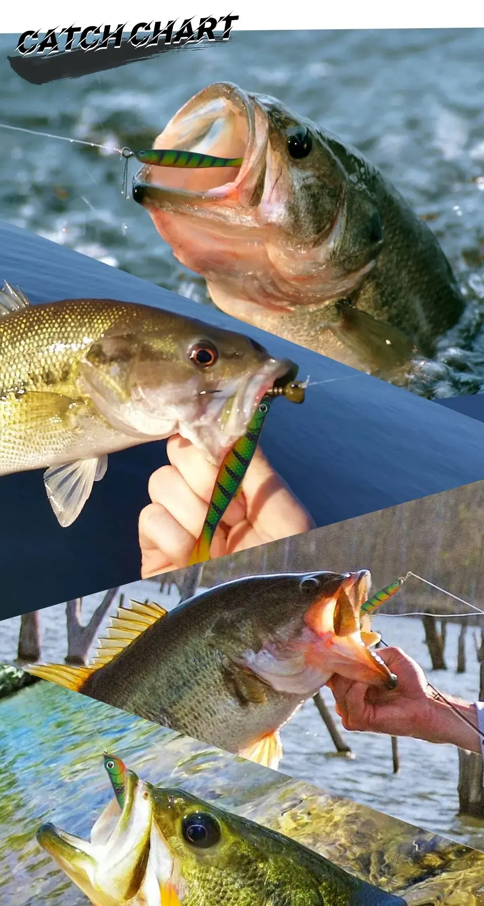 Colores disponibles del pack PRO BEROS de gusano cebo suave