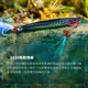 Señuelo NUNATAK para pesca de mar con acción atractiva - imagen 2