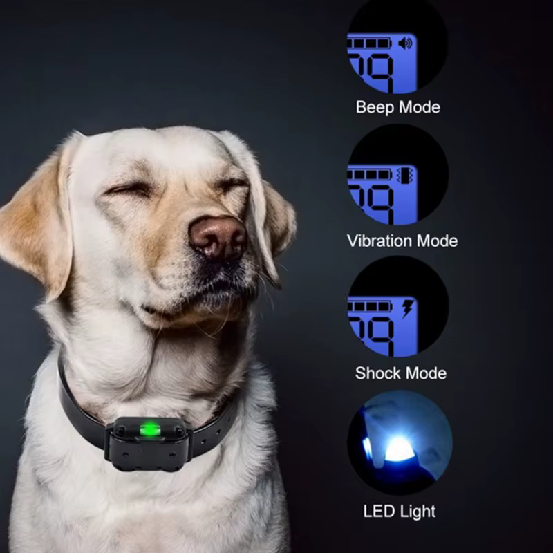Collar de adiestramiento impermeable con mando y vibración para perros - imagen 5