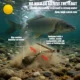 Plomos de pesca en gota YOTO con girador camuflaje - imagen 5