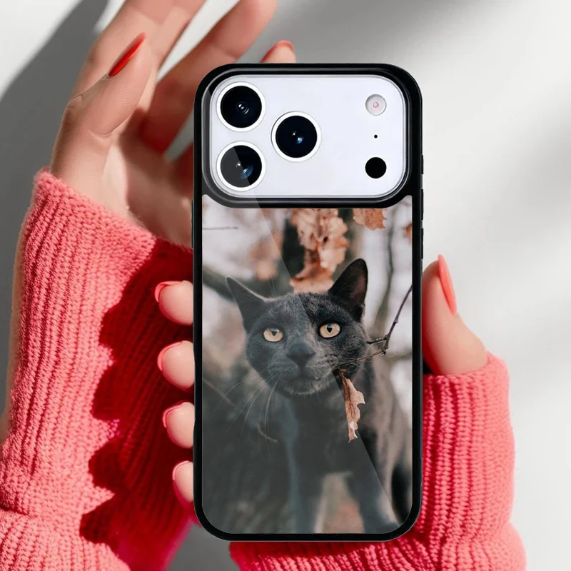 Funda con diseño de gatito azul ruso para iPhone