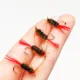Moscas secas Redtail Dryfly para trucha y ninfas artificiales - imagen 3