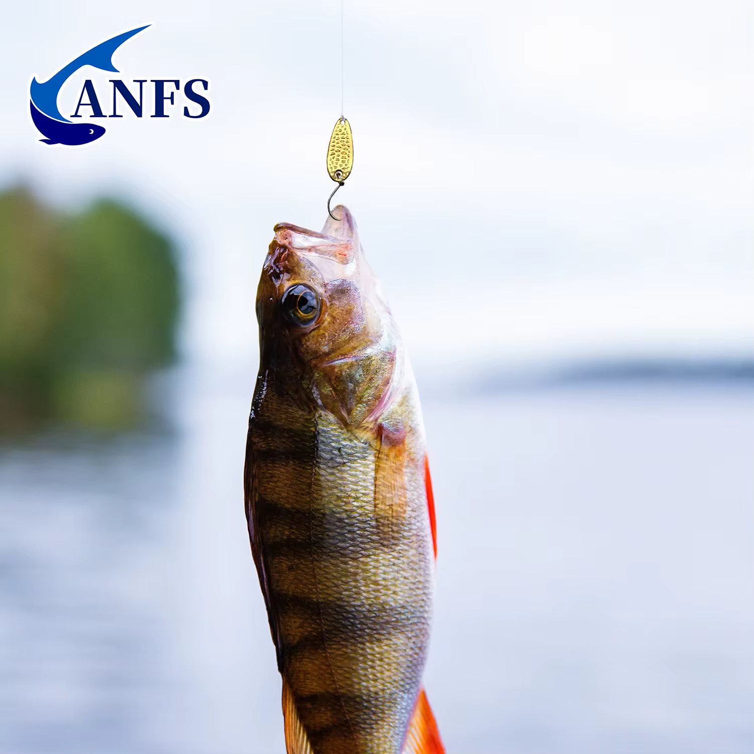 ANFS Señuelos Cuchara Metálicos Multicolor para Pesca - imagen 3