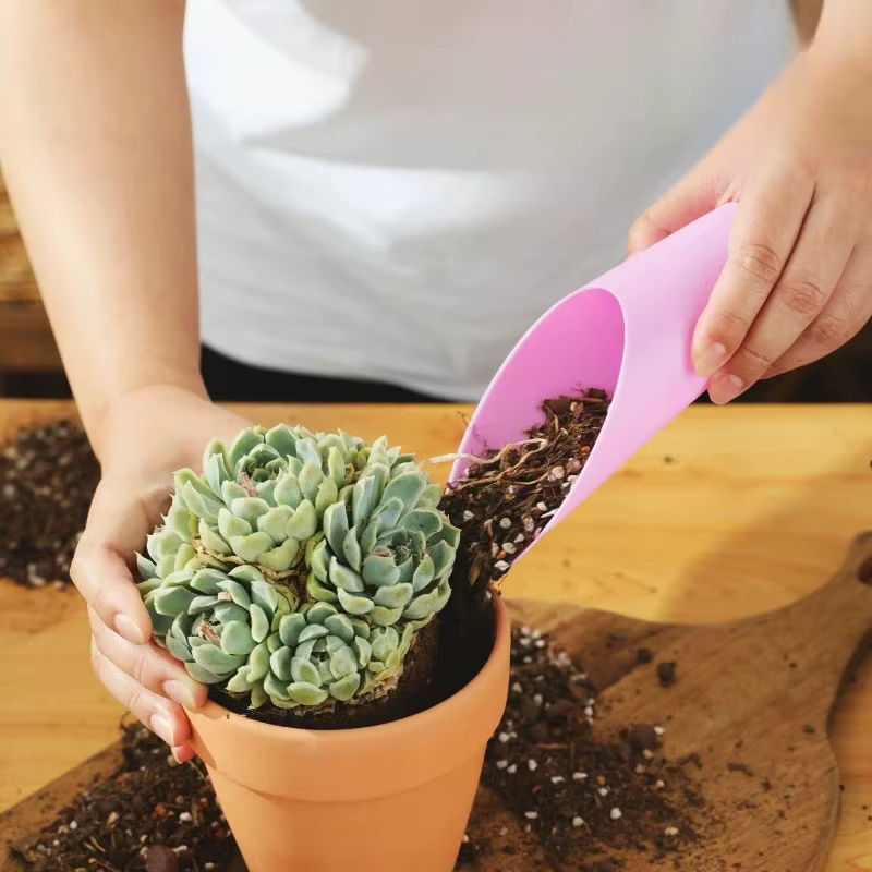 Set de mini pala y cubo para suculentas – Herramientas jardín bonsái - imagen 4