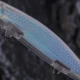 Dr.Holife Señuelos Minnow flotantes sin pintar con lámina interior - imagen 2