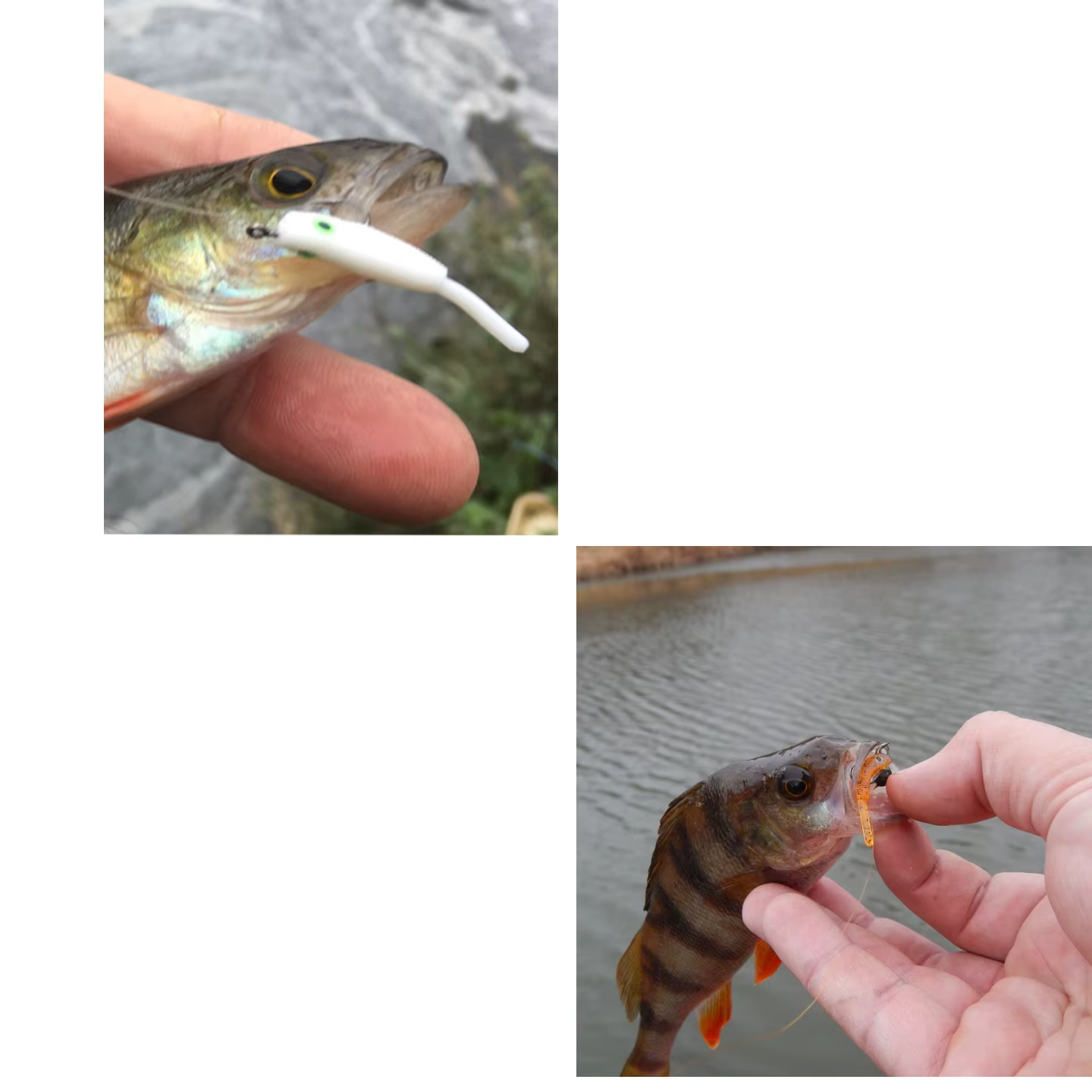 ESFISHING Mon Shad 30mm – Señuelos de invierno para hielo - imagen 5
