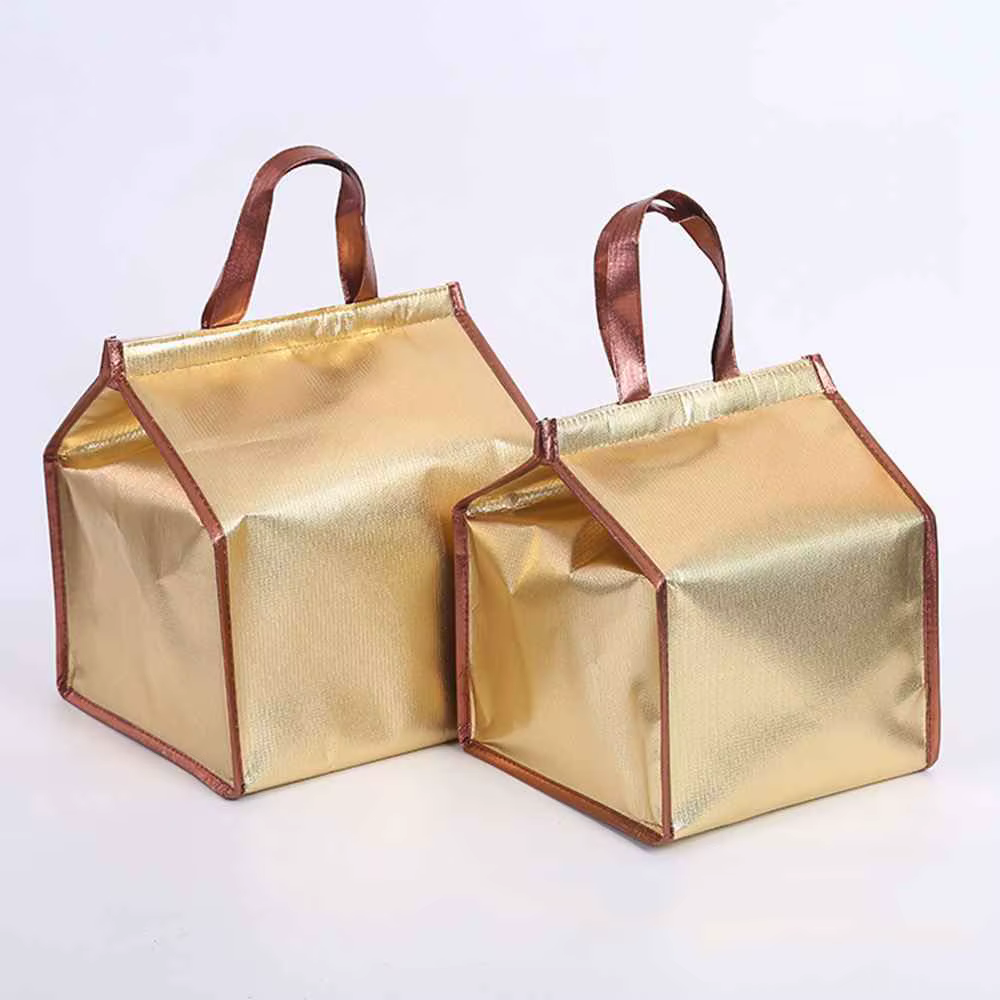 saco en bolsa de transporte