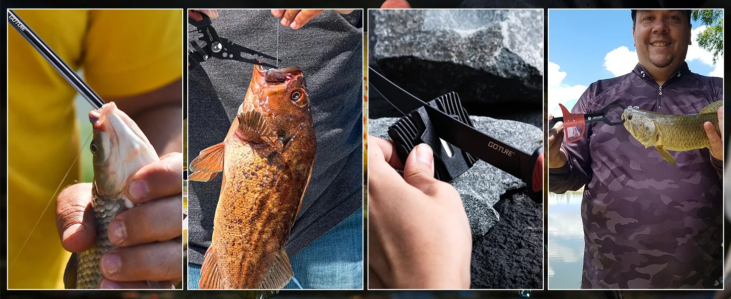 Kit completo de herramientas de pesca Goture