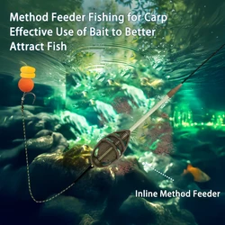 Set Method Feeder para carpa con jaula de aleación de zinc antienredos