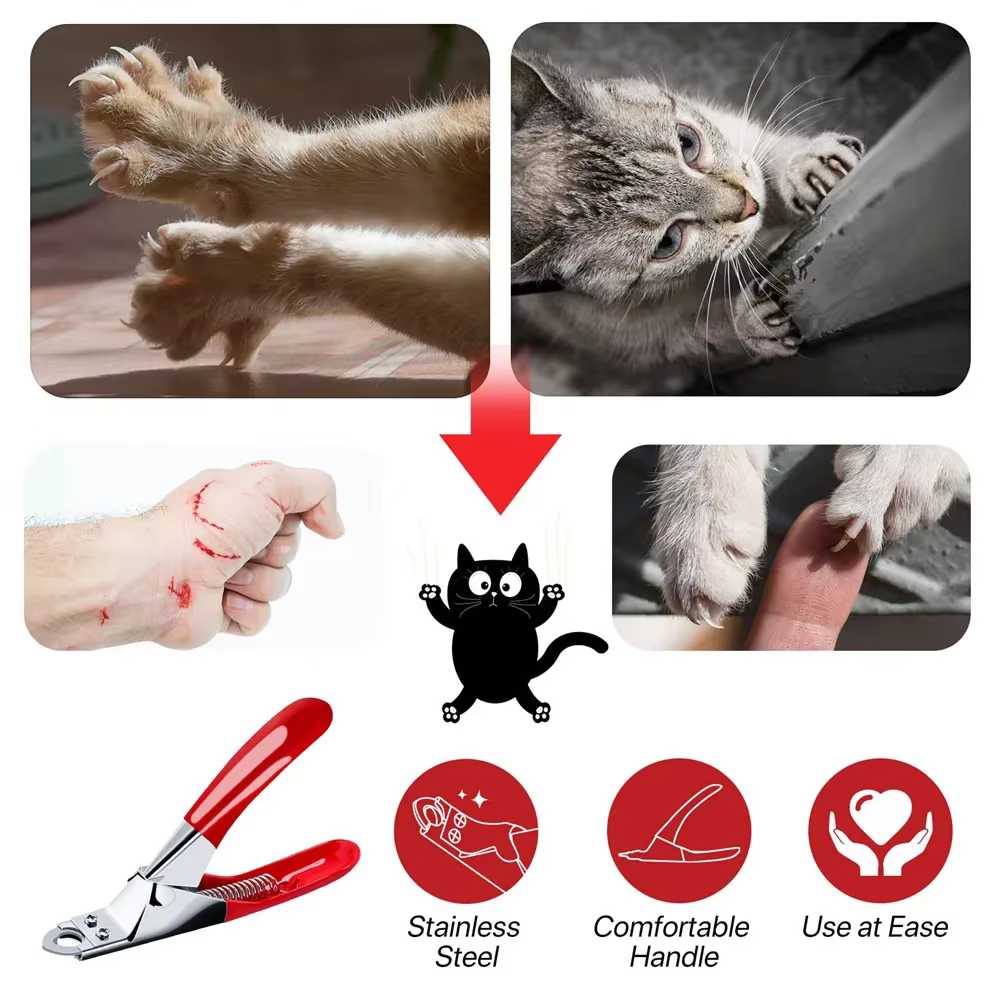 Productos para Mascotas