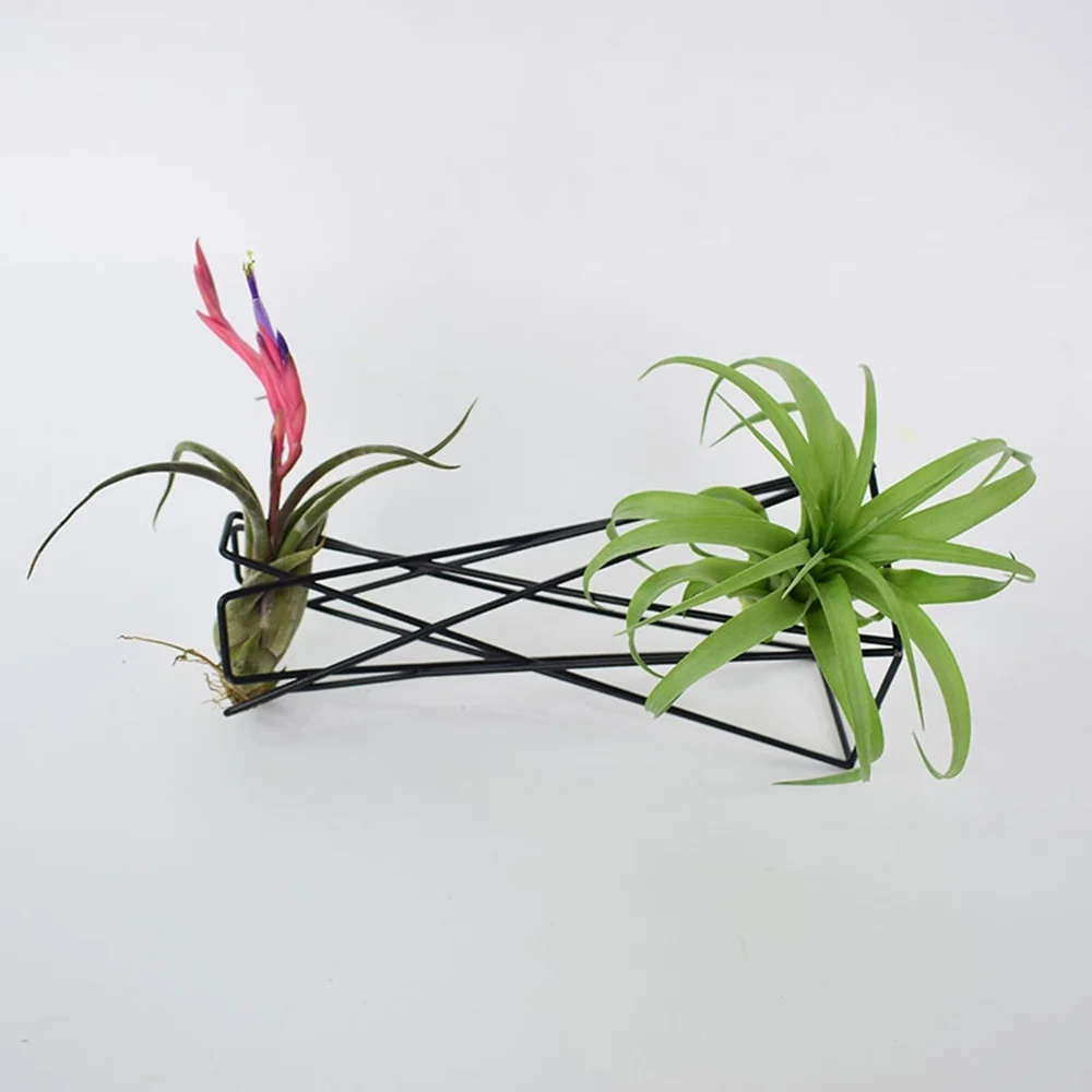 Soporte nórdico geométrico de hierro para tillandsia y plantas aéreas - imagen 5