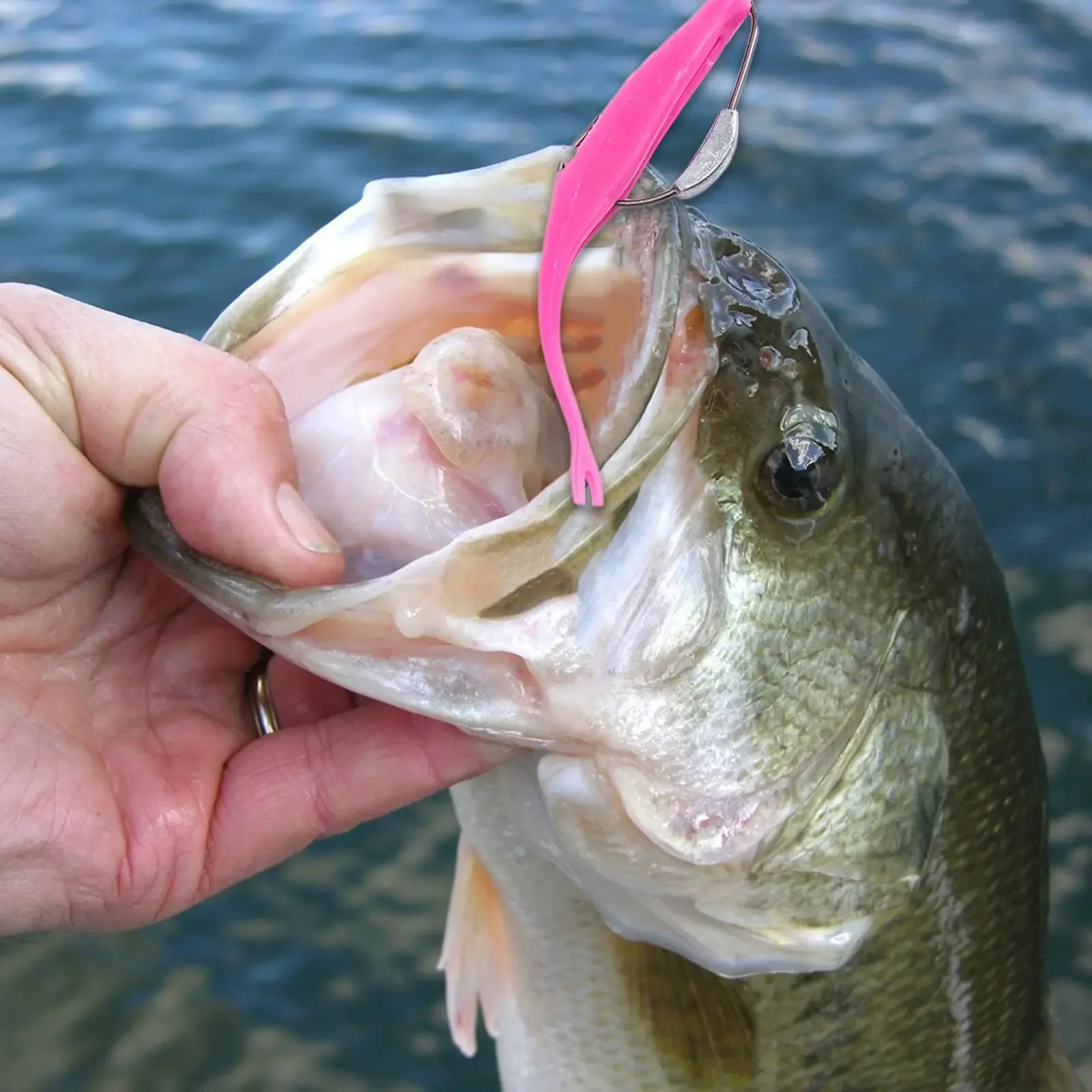 Anzuelos con plomo para pesca con goma