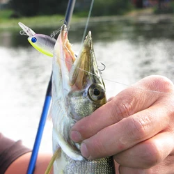 Free Fisher Jerkbait Minnow wobler artificial para lucio y trucha