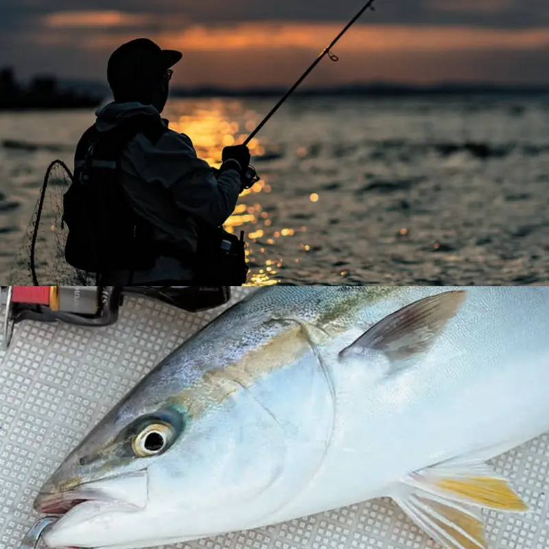 Línea trenzada PE GOSEN Saltwater Answer Wild Jerk para lances largos - imagen 5