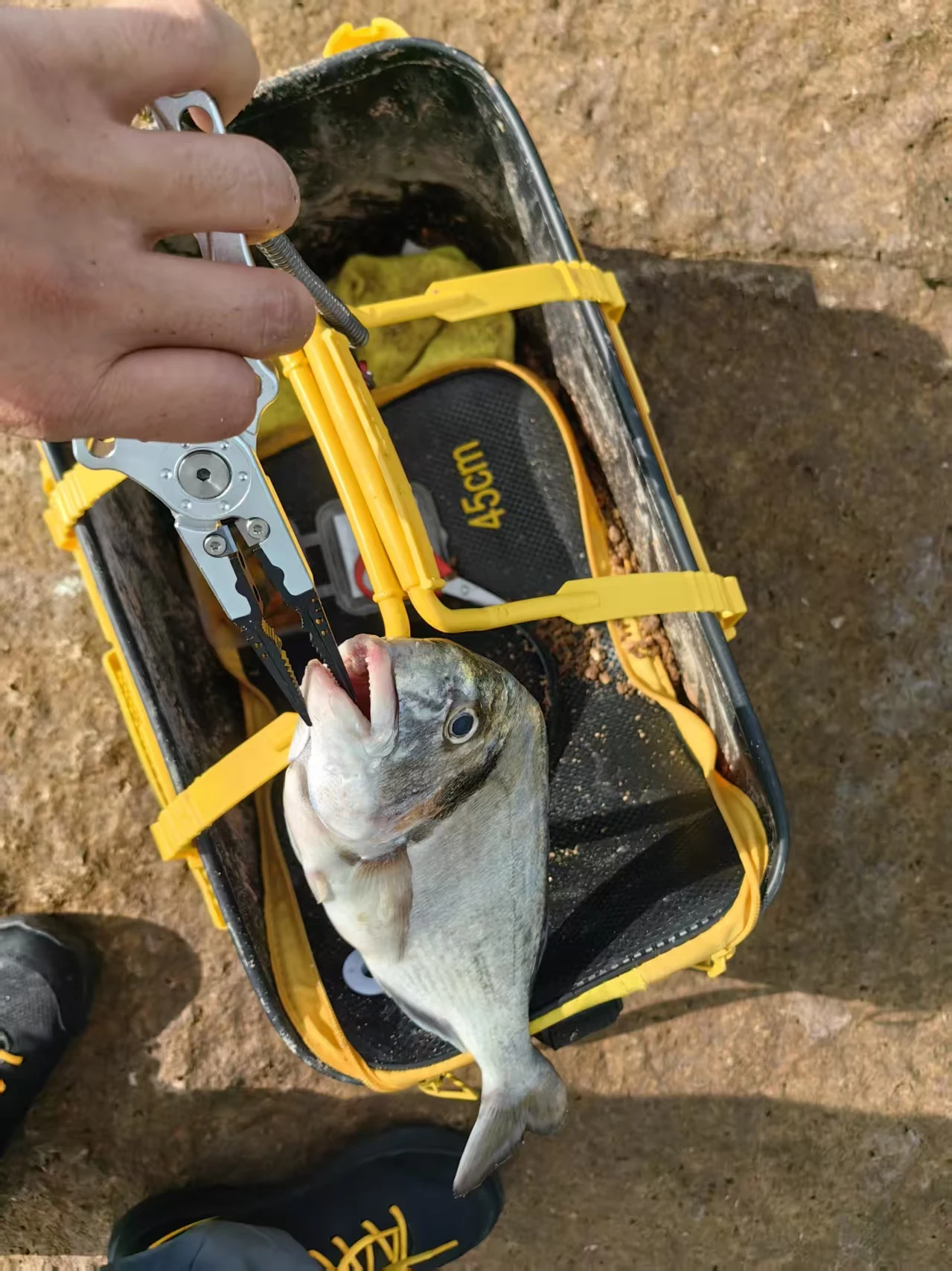 Cubo de pesca viva NUNATAK barril reforzado sobre roca - imagen 4