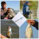 Goture VIB Cuchara vibrante metálica para pesca en hielo - imagen 2