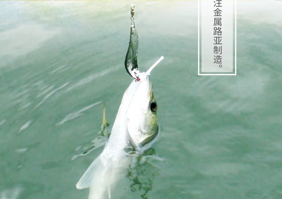 Empaquetado de JUYANG