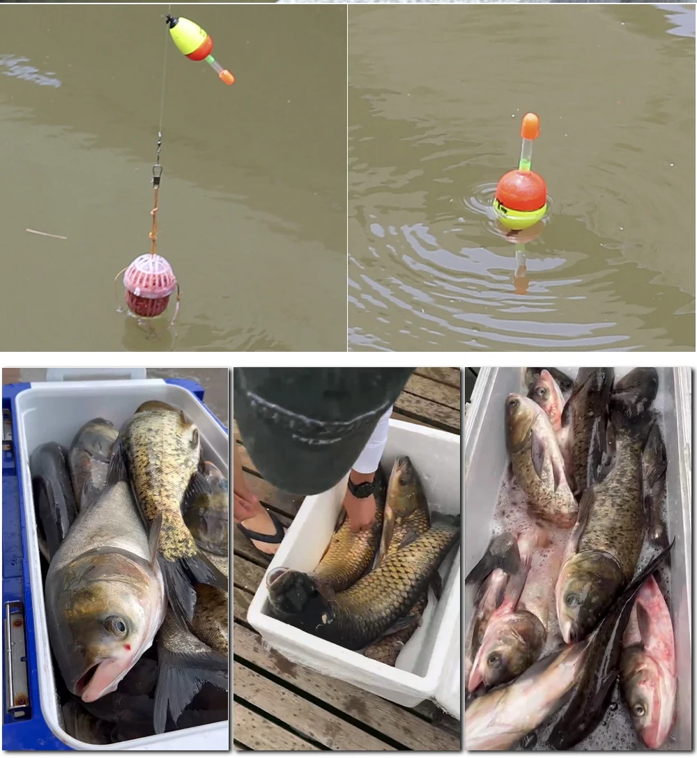 Combo completo de equipo de pesca