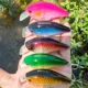Proberos Wobblers Minnow Crankbait flotantes para lucio - imagen 2