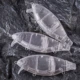 Dr.Holife Swimbait articulado sin pintar blanco - cebo de pesca DIY - imagen 4