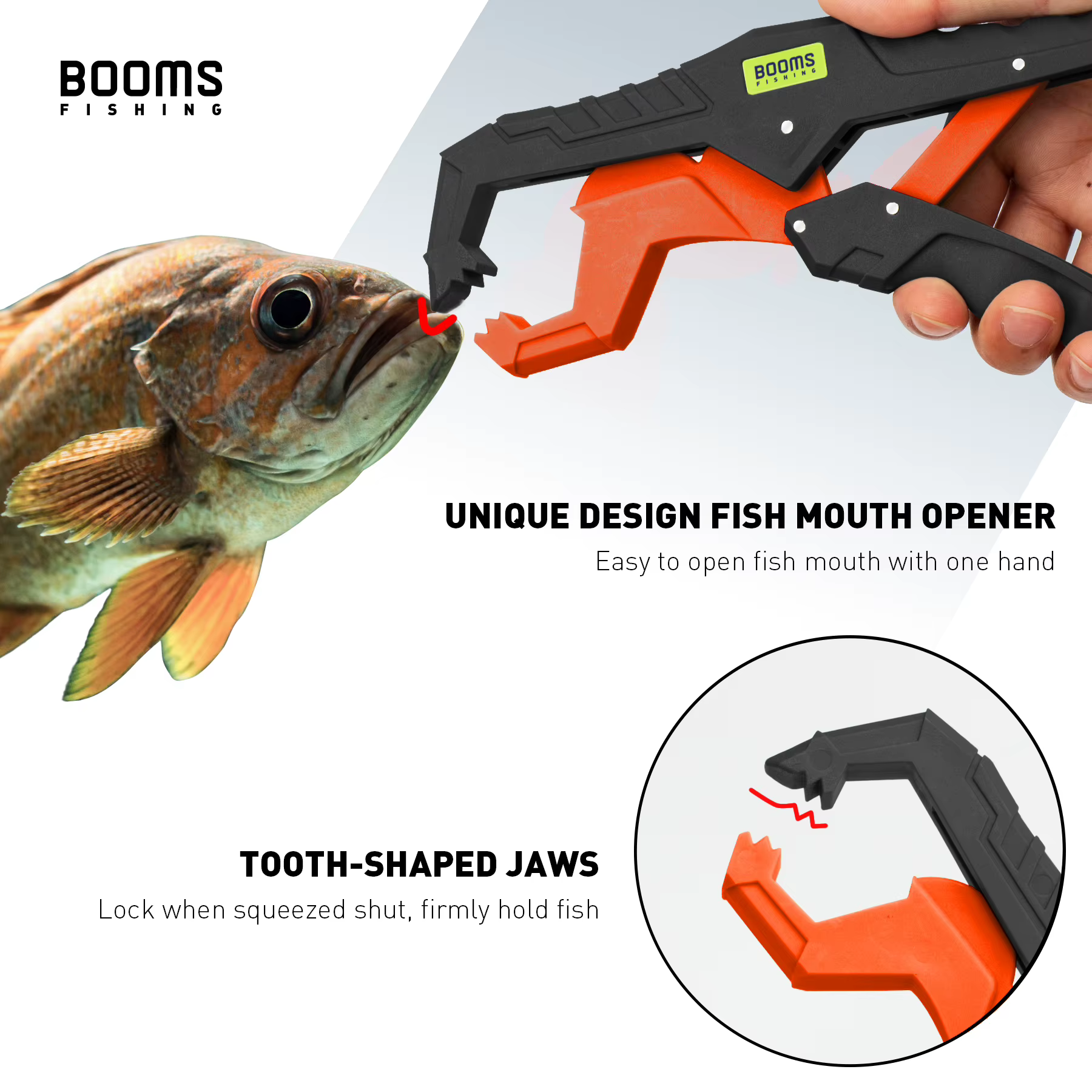 Pinza de Labio Booms Fishing 24cm – Salada con Cordón - imagen 4