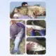 Flotador electrónico con indicador y luces para pesca nocturna - imagen 3