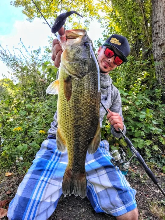 JYJ Ranita vinilo 10cm 12g – Señuelo hundimiento pesca - imagen 5