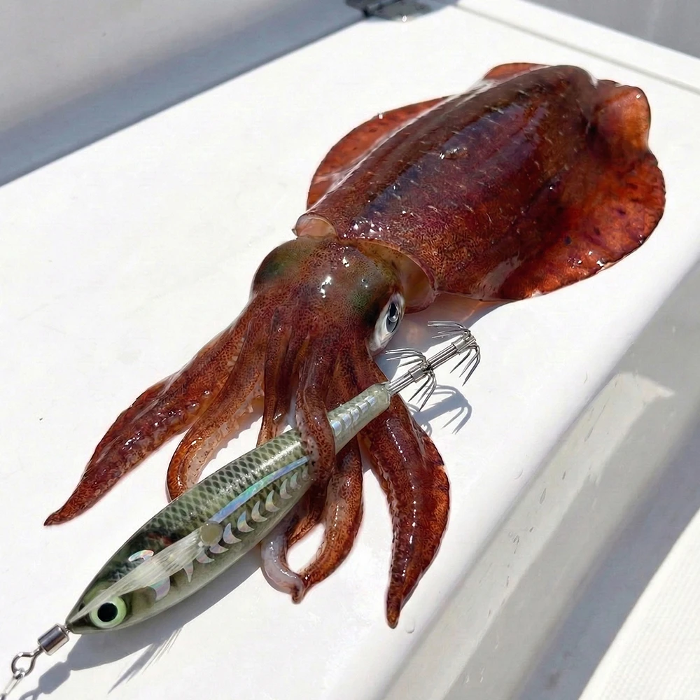 Señuelos luminosos horizontales agua salada calamar y pulpo - imagen 3