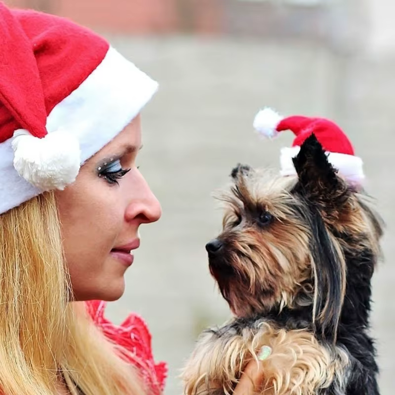 Gorro Papá Noel para Mascotas: Gato, Perro y Cachorro - imagen 4