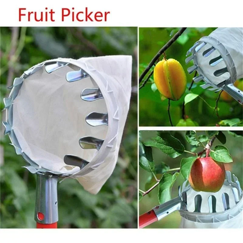Recogedor de frutas metálico para cosecha en altura
