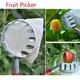 Recogedor de frutas metálico para cosecha en altura